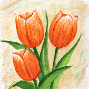 FL3-1143 20X20-40X40 CM