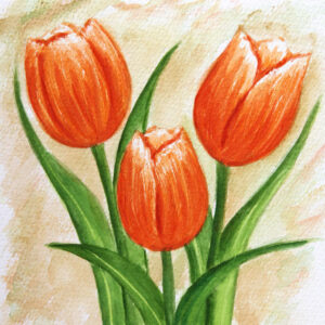 FL3-1144 20X20-40X40 CM