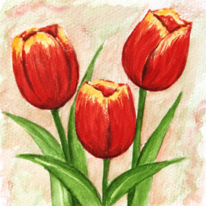FL3-1147 20X20-40X40 CM