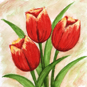 FL3-1148 20X20-40X40 CM