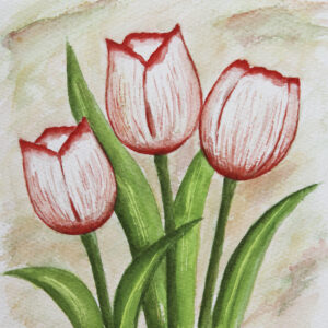 FL3-1150 20X20-40X40 CM