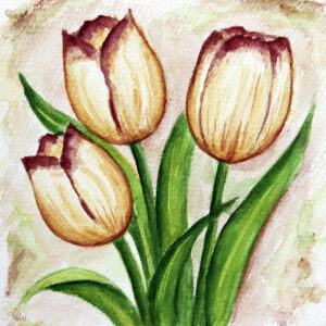 FL3-1154 20X20-40X40 CM