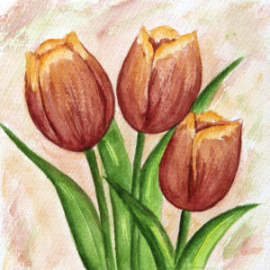FL3-1155 20X20-40X40 CM