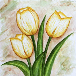 FL3-1158 20X20-40X40 CM