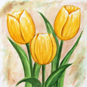 FL3-1159 20X20-40X40 CM