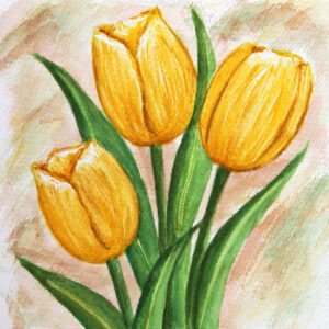 FL3-1160 20X20-40X40 CM