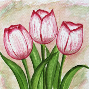 FL3-1165 20X20-40X40 CM