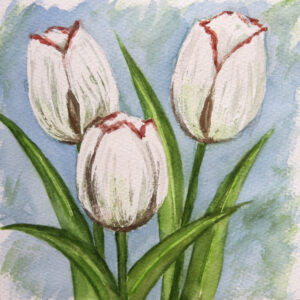 FL3-1170 20X20-40X40 CM