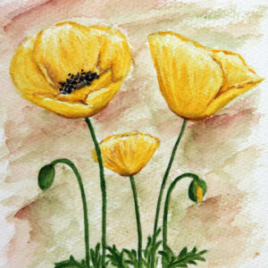 FL3-1174 20X20-40X40 CM