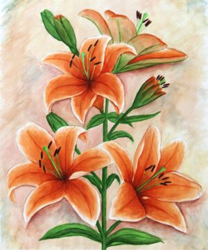 FL4-1183 40X50 CM