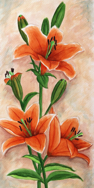 FL4-1184 25X50 CM