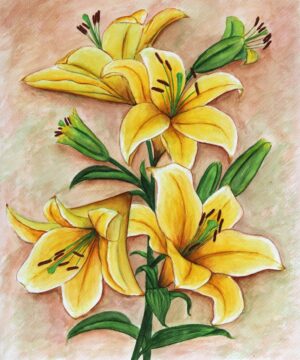 FL4-1186 40X50 CM