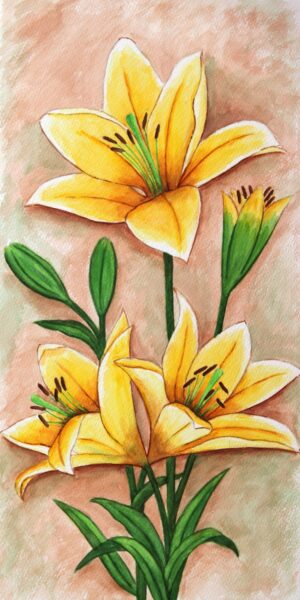 FL4-1188 25X50 CM