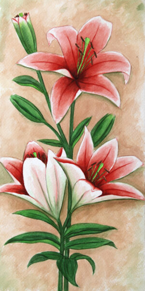 FL4-1191 25X50 CM
