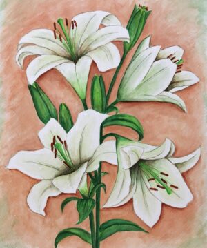 FL4-1192 40X50 CM