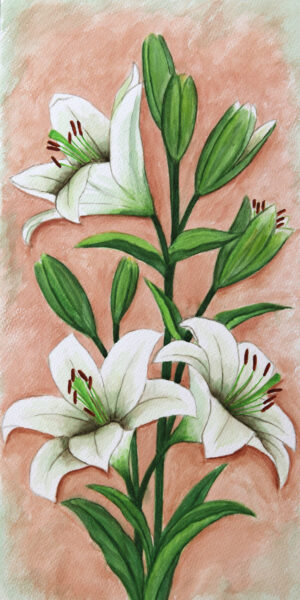 FL4-1193  25X50 CM