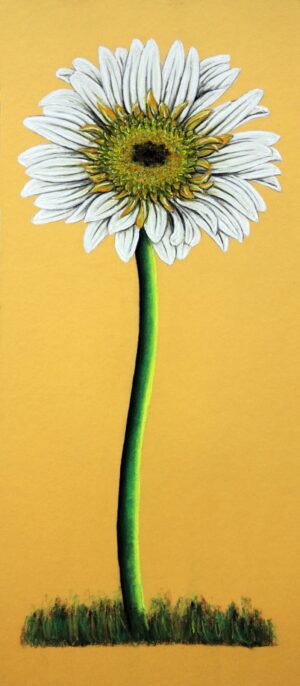 FL4-1198 22X49 CM