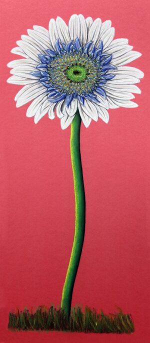 FL4-1201 22X49 CM