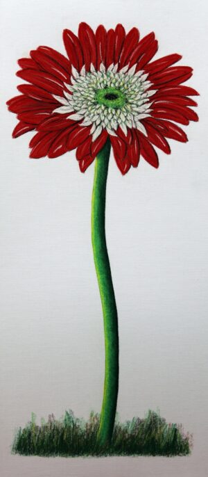 FL4-1202 22X49 CM