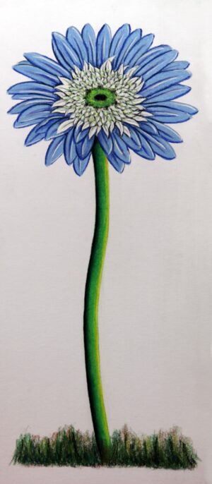 FL4-1203   22X49 CM
