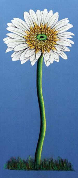 FL4-1205 22X49 CM