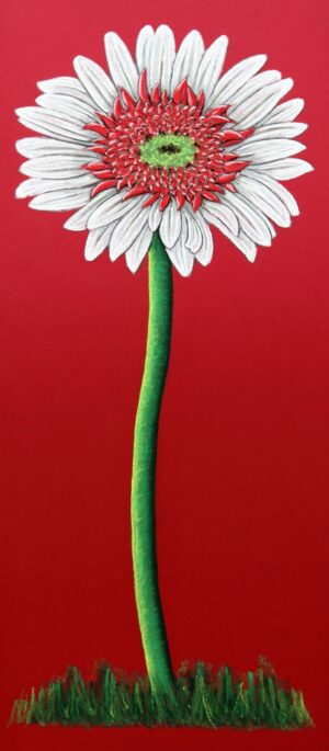 FL4-1206 22X49 CM