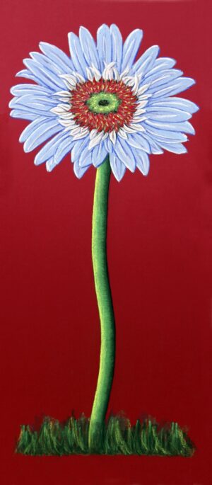 FL4-1207 22X49 CM