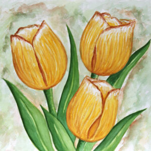 FL4-1213 20X20-40X40 CM
