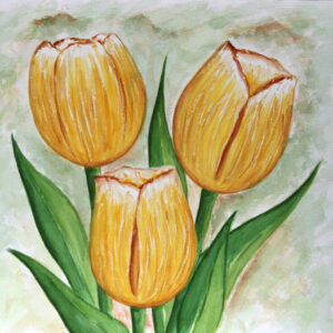 FL4-1215 20X20-40X40 CM