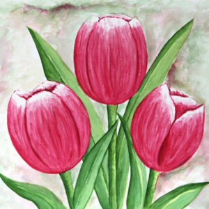 FL4-1226 20X20-40X40 CM