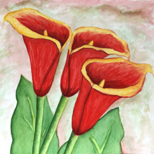FL4-1231 20X20-40X40 CM