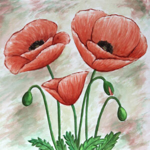 FL4-1251     20X20-40X40 CM
