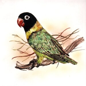 MSV-1251    20X20 CM
