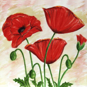 FL4-1262    20X20-40X40 CM
