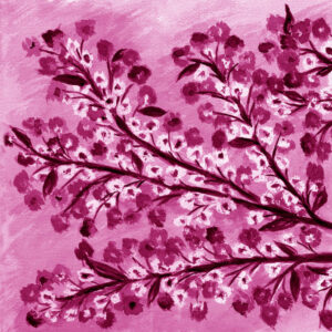 FL2-1264 MAG1 20X20-40X40 CM