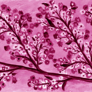 FL2-1264 MAG2 20X20-40X40 CM