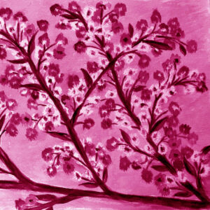 FL2-1264 MAG3 20X20-40X40 CM