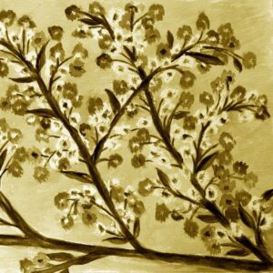 FL2-1264 SE2 20X20-40X40 CM