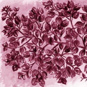 FL2-1268 MAG1 20X20-40X40 CM