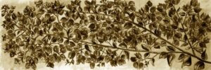 FL2-1268 SE 25X75 CM