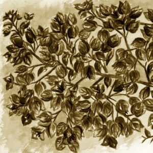 FL2-1268 SE1 20X20-40X40 CM