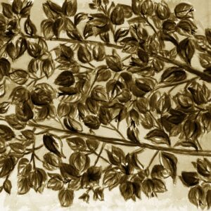 FL2-1268 SE2 20X20-40X40 CM