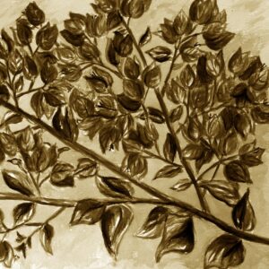 FL2-1268 SE3 20X20-40X40 CM
