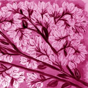FL2-1272 MAG3 20X20-40X40 CM