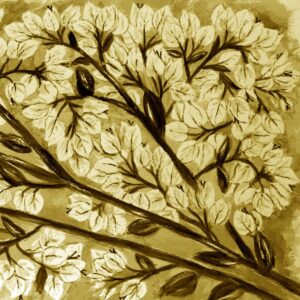 FL2-1272 SE3 20X20-40X40 CM