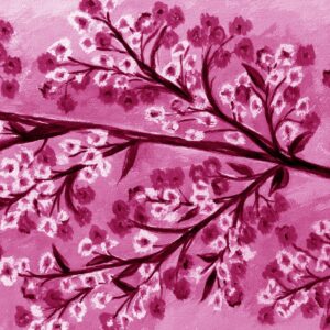 FL2-1276 MAG2 20X20-40X40 CM