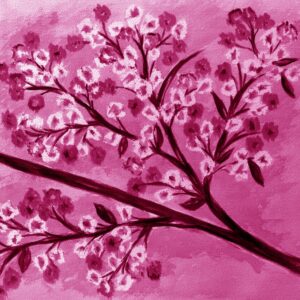 FL2-1276 MAG3 20X20-40X40 CM