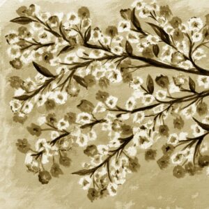 FL2-1276 SE1 20X20-40X40 CM