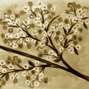 FL2-1276 SE3 20X20-40X40 CM