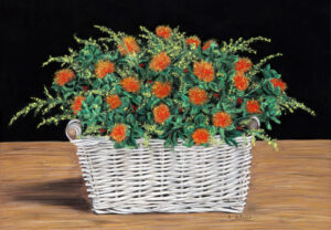 FL4-1289  34x49 CM